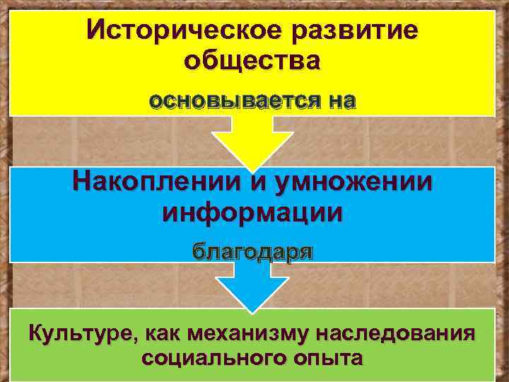Историческое развитие общества основывается на Накоплении и умножении информации благодаря Культуре, как механизму наследования