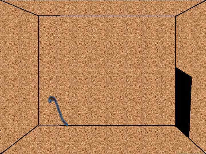 ь ат в ды чку я гл бо а е з тум Н в