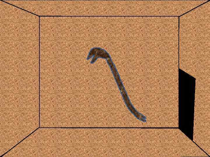 ь ат в ды чку я гл бо а е з тум Н в