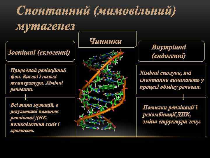 Спонтанний (мимовільний) мутагенез Чинники Зовнішні (екзогенні) Природний радіаційний фон. Високі і низькі температури. Хімічні