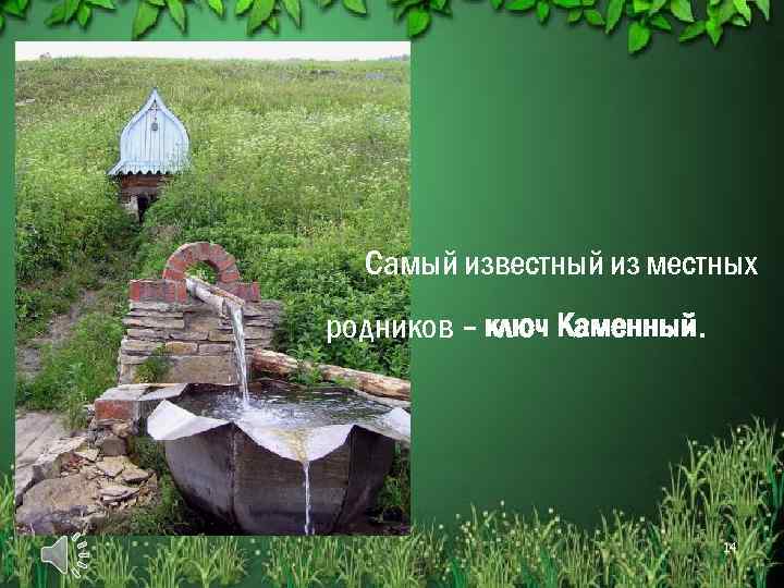 Самый известный из местных родников – ключ Каменный. 14 