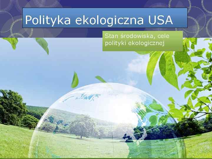 Polityka ekologiczna USA Stan środowiska, cele polityki ekologicznej 