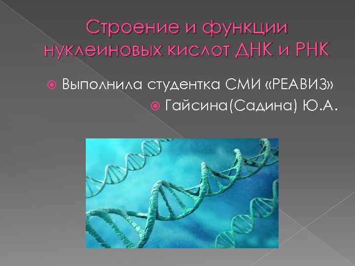 Строение и функции нуклеиновых кислот ДНК и РНК Выполнила студентка СМИ «РЕАВИЗ» Гайсина(Садина) Ю.