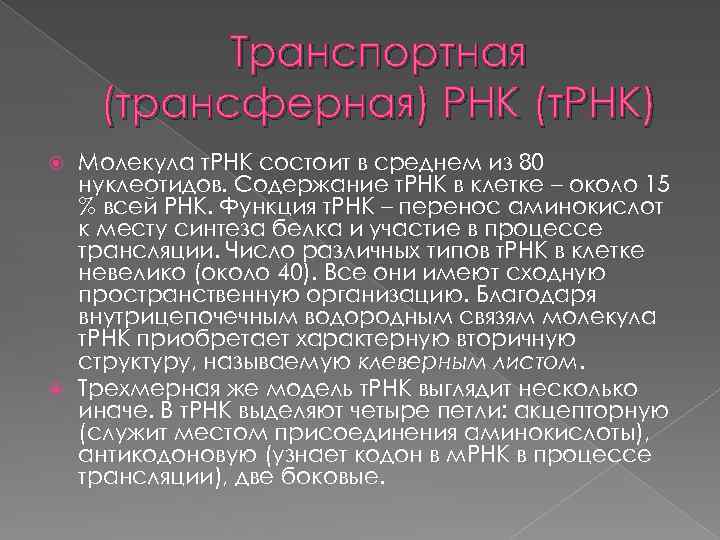 Транспортная (трансферная) РНК (т. РНК) Молекула т. РНК состоит в среднем из 80 нуклеотидов.