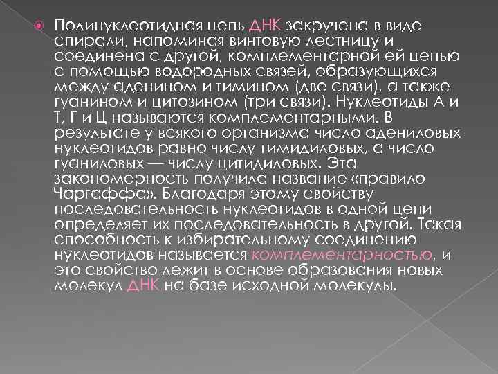 Полинуклеотидная цепь ДНК закручена в виде спирали, напоминая винтовую лестницу и соединена с