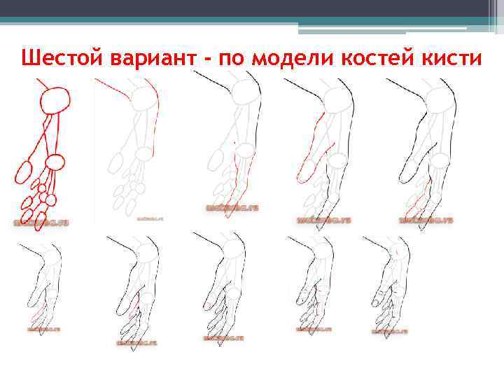 Шестой вариант - по модели костей кисти 