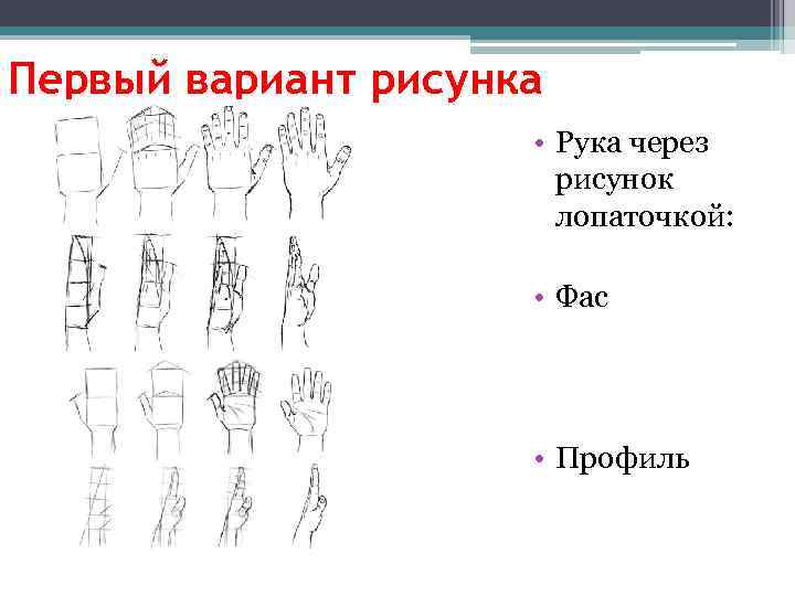 Первый вариант рисунка • Рука через рисунок лопаточкой: • Фас • Профиль 