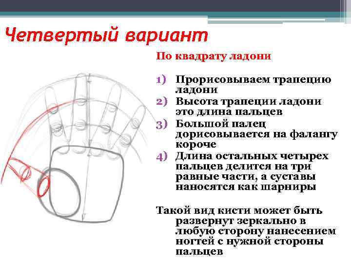 Четвертый вариант По квадрату ладони 1) Прорисовываем трапецию ладони 2) Высота трапеции ладони это