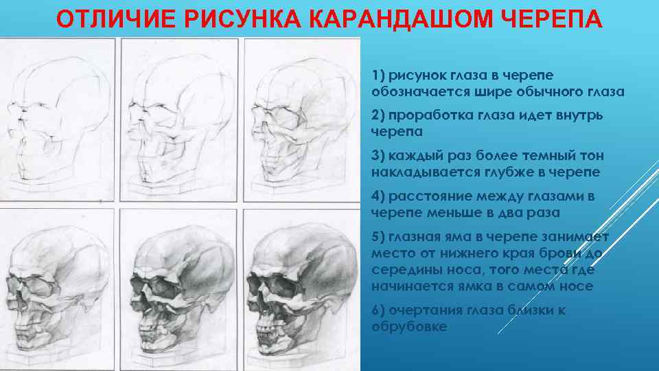 ОТЛИЧИЕ РИСУНКА КАРАНДАШОМ ЧЕРЕПА 1) рисунок глаза в черепе обозначается шире обычного глаза 2)
