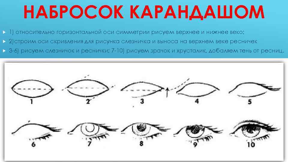 НАБРОСОК КАРАНДАШОМ 1) относительно горизонтальной оси симметрии рисуем верхнее и нижнее веко; 2)строим оси