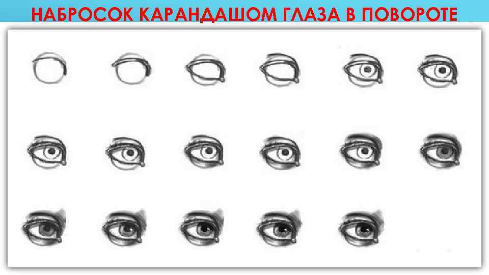 НАБРОСОК КАРАНДАШОМ ГЛАЗА В ПОВОРОТЕ 