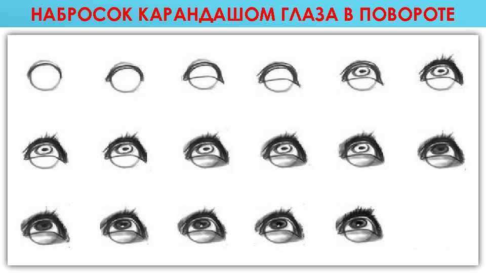 НАБРОСОК КАРАНДАШОМ ГЛАЗА В ПОВОРОТЕ 