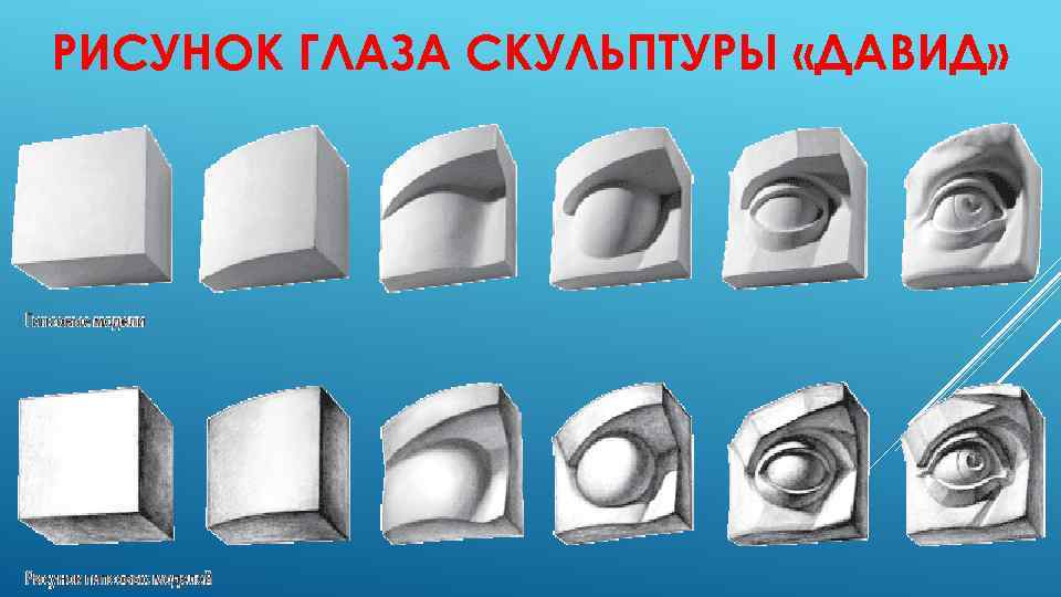 РИСУНОК ГЛАЗА СКУЛЬПТУРЫ «ДАВИД» 