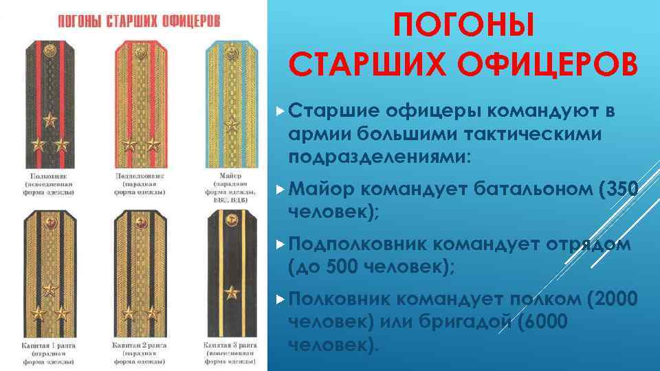 ПОГОНЫ СТАРШИХ ОФИЦЕРОВ Старшие офицеры командуют в армии большими тактическими подразделениями: Майор командует батальоном