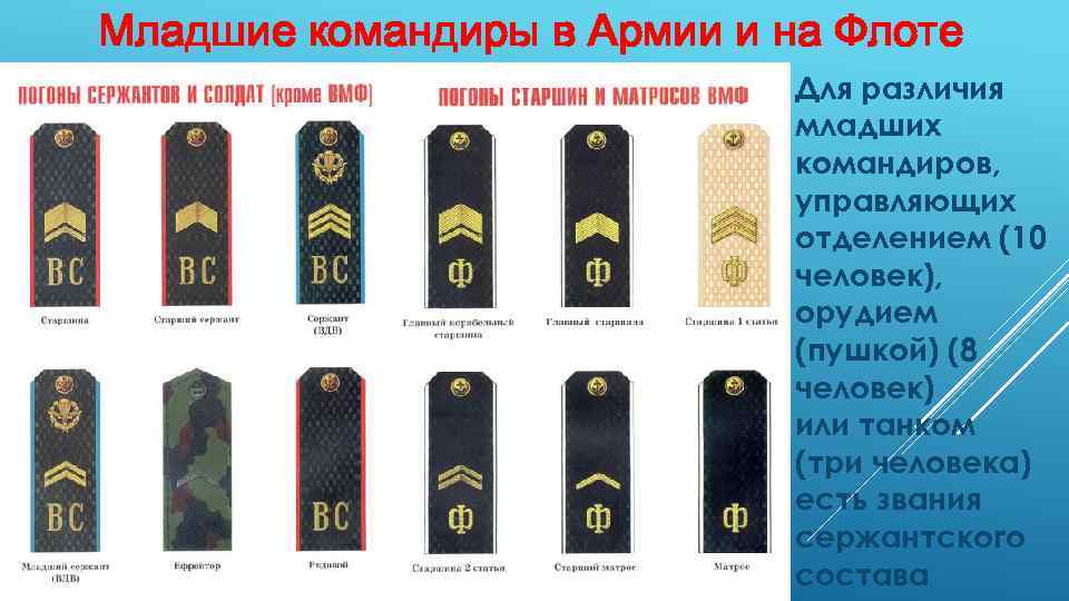 Звания на флоте в россии по порядку погоны фото с названиями