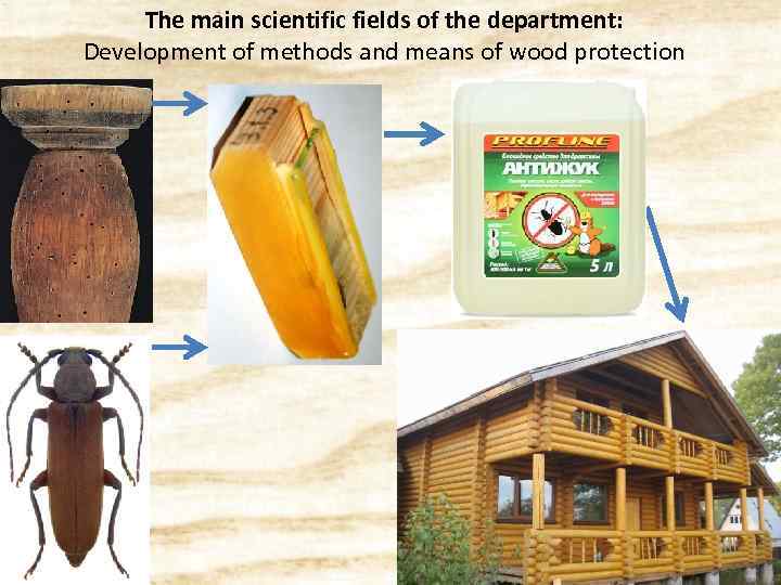 The main scientific fields of the department: Development of methods and means of wood