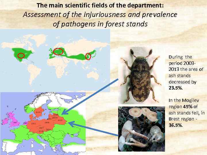 The main scientific fields of the department: Assessment of the injuriousness and prevalence of