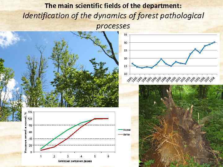 The main scientific fields of the department: Identification of the dynamics of forest pathological