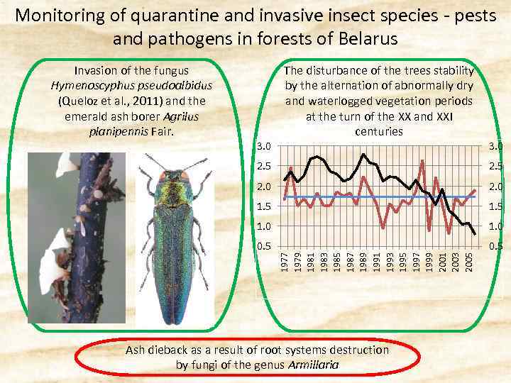 Monitoring of quarantine and invasive insect species - pests and pathogens in forests of