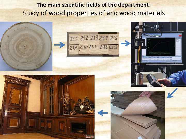 The main scientific fields of the department: Study of wood properties of and wood