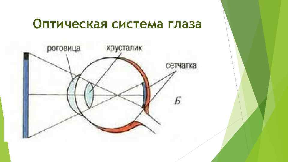 Глаз схема физика