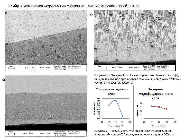 Слайд 7 Изменения морфологии торцевых шлифов отожжённых образцов а) б) в) Рисунок 8— Оксидный