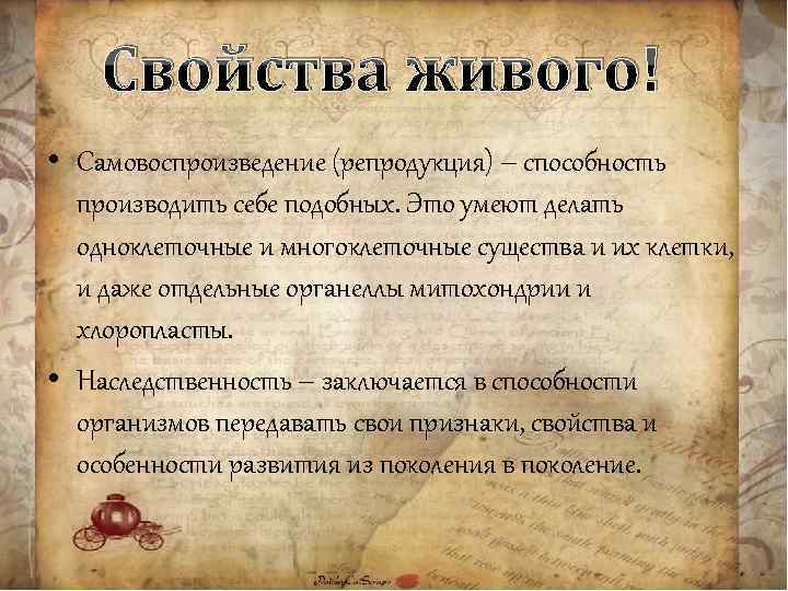 Свойства живого! • Самовоспроизведение (репродукция) – способность производить себе подобных. Это умеют делать одноклеточные