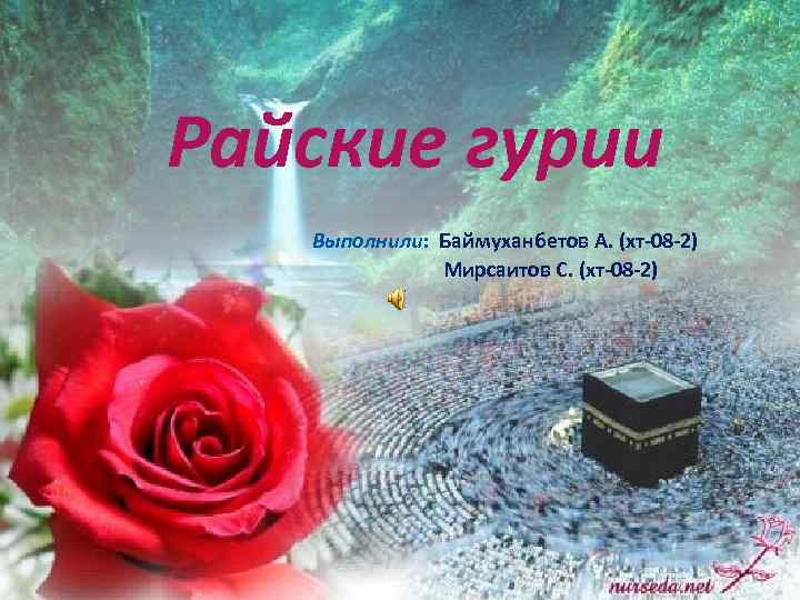 Райские гурии Выполнили: Баймуханбетов А. (хт-08 -2) Мирсаитов С. (хт-08 -2) 