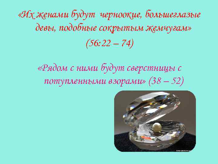  «Их женами будут черноокие, большеглазые девы, подобные сокрытым жемчугам» (56: 22 – 74)