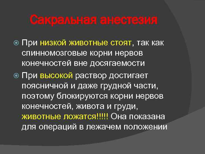 Сакральная анестезия При низкой животные стоят, так как спинномозговые корни нервов конечностей вне досягаемости