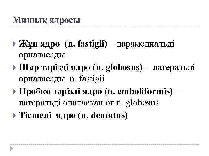 Мишық ядросы Жұп ядро (n. fastigii) – парамедиальді орналасады. Шар тәрізді ядро (n. globosus)