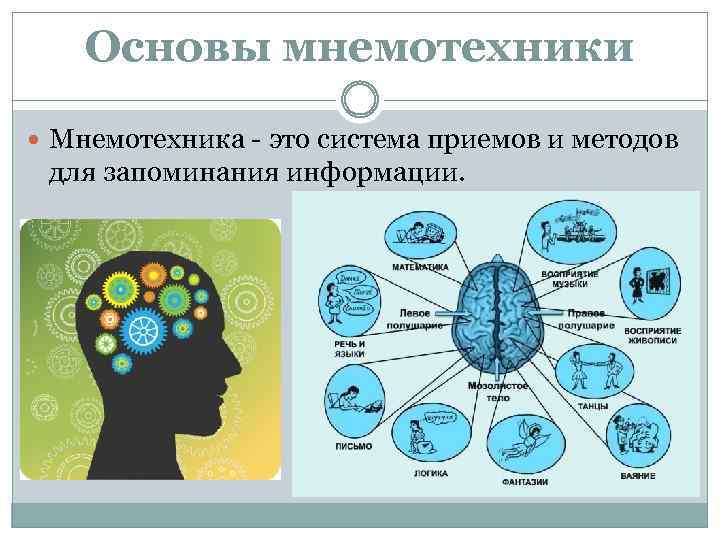 Память презентация по биологии