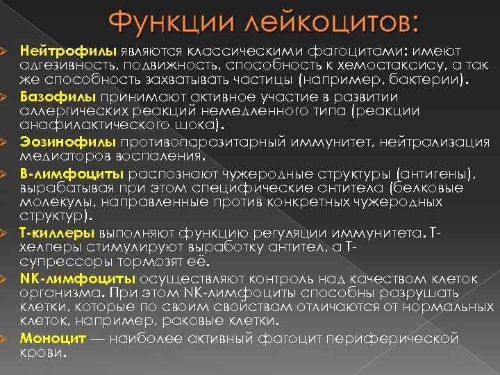 Ø Ø Ø Ø Функции лейкоцитов: Нейтрофилы являются классическими фагоцитами: имеют адгезивность, подвижность, способность