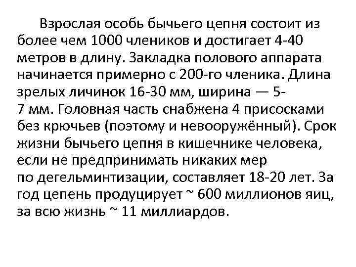 Взрослая особь бычьего цепня состоит из более чем 1000 члеников и достигает 4 -40