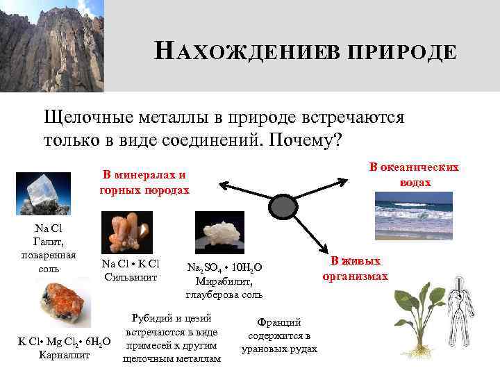 Н АХОЖДЕНИЕВ ПРИРОДЕ Щелочные металлы в природе встречаются только в виде соединений. Почему? В