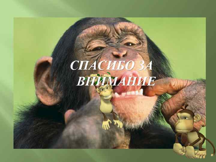 СПАСИБО ЗА ВНИМАНИЕ 