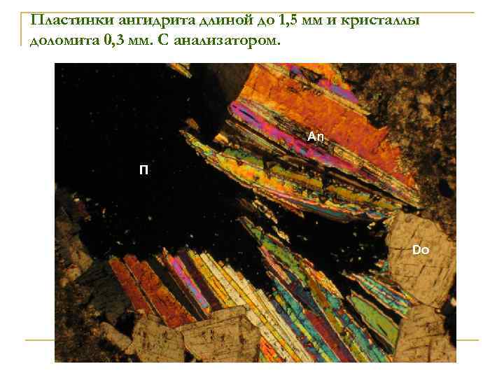 Пластинки ангидрита длиной до 1, 5 мм и кристаллы доломита 0, 3 мм. С
