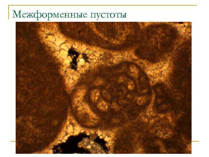 Межформенные пустоты 