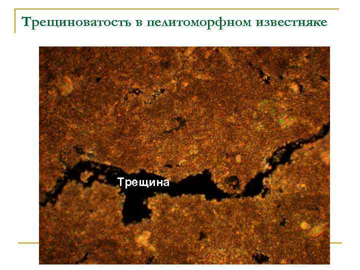 Трещиноватость в пелитоморфном известняке Трещина 