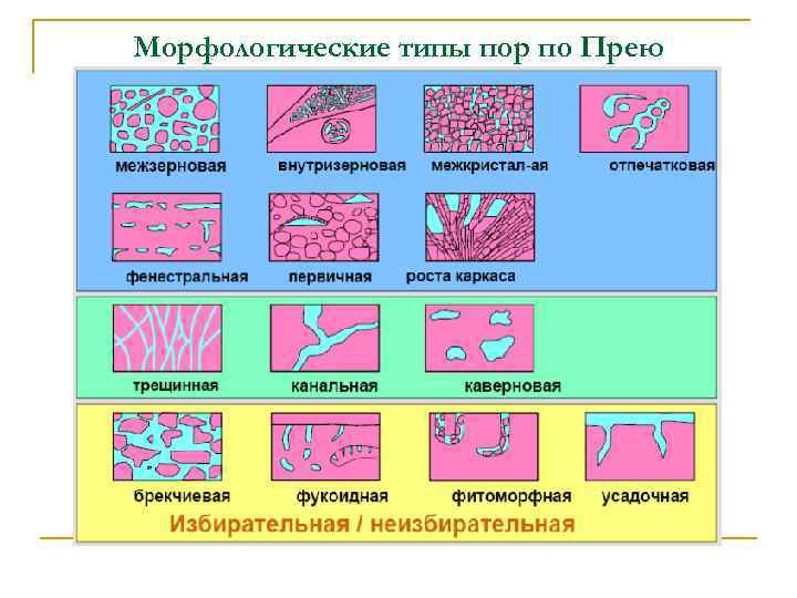 Морфологические типы пор по Прею 