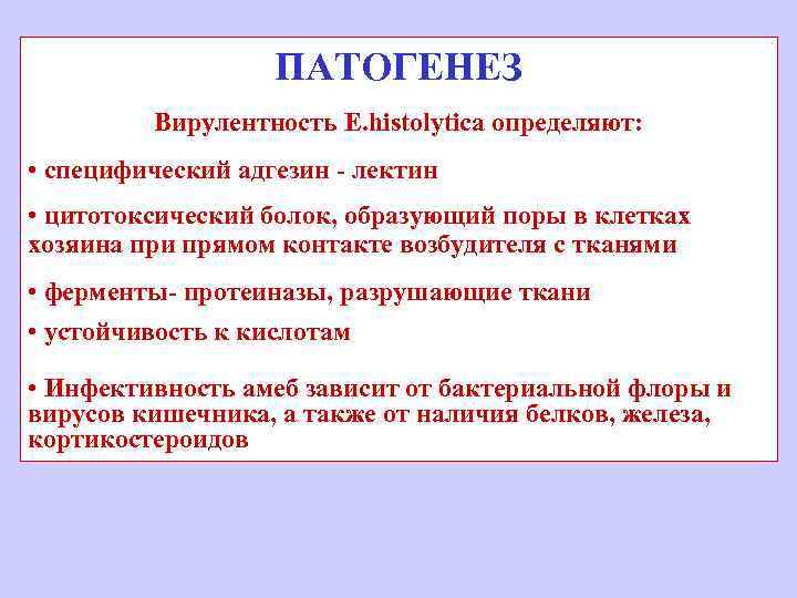 ПАТОГЕНЕЗ Вирулентность E. histolytica определяют: • специфический адгезин - лектин • цитотоксический болок, образующий