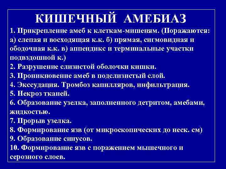  КИШЕЧНЫЙ АМЕБИАЗ 1. Прикрепление амеб к клеткам-мишеням. (Поражаются: а) слепая и восходящая к.