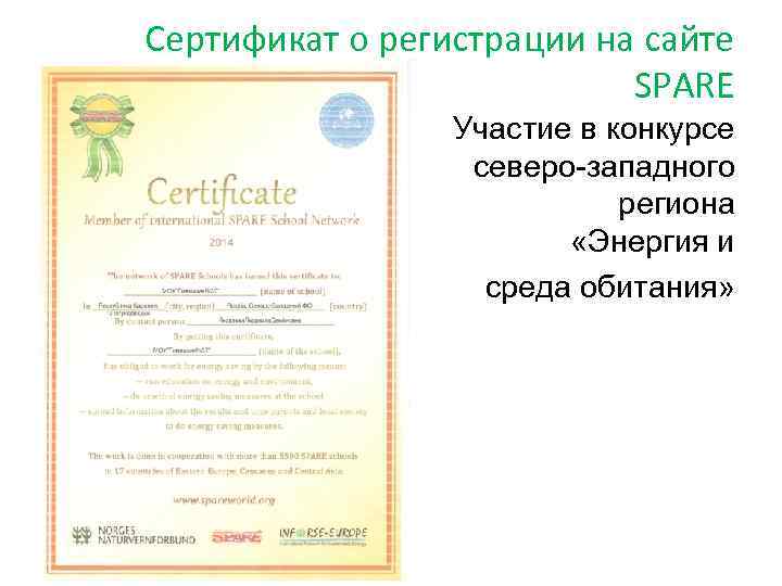 Сертификат о регистрации на сайте SPARE Участие в конкурсе северо-западного региона «Энергия и среда