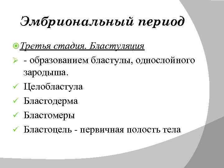 Эмбриональный период Третья Ø ü ü стадия. Бластуляция - образованием бластулы, однослойного зародыша. Целобластула