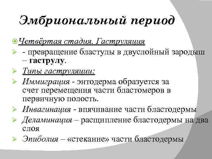 Эмбриональный период Четвёртая стадия. Гаструляция Ø - превращение бластулы в двуслойный зародыш Ø Ø