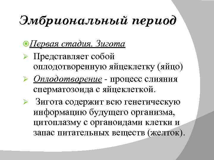 Эмбриональный период Первая стадия. Зигота Ø Представляет собой оплодотворенную яйцеклетку (яйцо) Ø Оплодотворение -