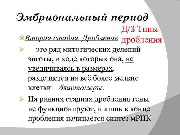 Эмбриональный период Д/З Типы Вторая стадия. Дробление дробления – это ряд митотических делений зиготы,