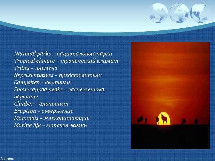 National parks – национальные парки Tropical climate - тропический климат Tribes – племена Representatives
