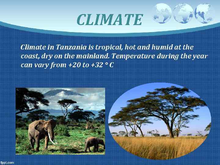 CLIMATE Climate in Tanzania is tropical, hot and humid at the coast, dry on