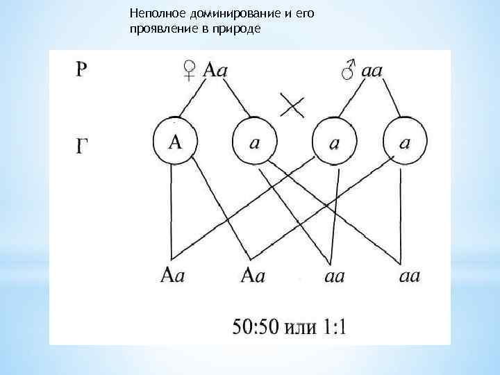 Неполное доминирование и его проявление в природе 